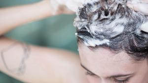Top-Rated Shampoos for All Hair Types