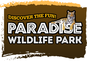 wildlife tours promo code